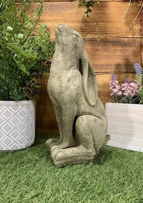 £25.90 • Buy Stone Garden Moon Gazing Hare Ornament 