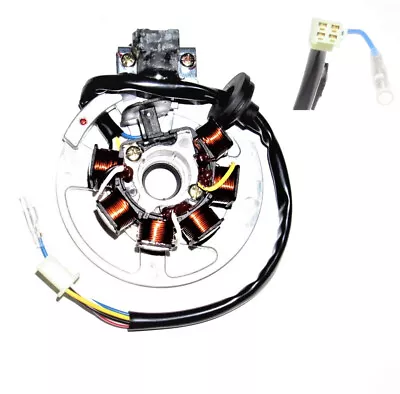 Eton (E-Ton) Beamer Stator 2-Stroke 50cc • $69.99