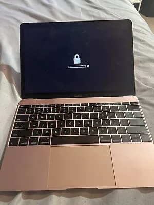 12  Apple MacBook Retina 2017 1.2GHz Core M3 - 8GB RAM 256GB SSD (only For Part) • $159
