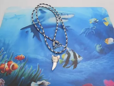 Genuine 1 1/8  Mako Shark Tooth Paracord Necklace Beachwear Surf Wear • $12