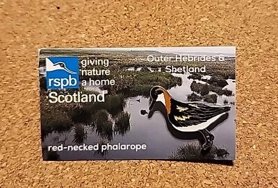 RSPB Pin Badge RED-NECKED PHALAROPE • £5