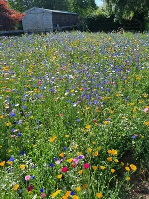 Wild Flower Seed Mat CARPET SEEDS Wild Scented Bee Natural Meadow NO GRASS 5m • £19.99