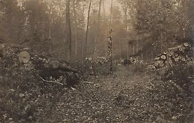 NW Honor Platte River Junction MI RPPC DEEP IN THE WOODS Logging Lumber History! • $22.99