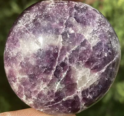 Handmade Polished LEPIDOLITE Healing Crystal Palm Stone Pebble MADAGASCAR 1.77  • $17.95