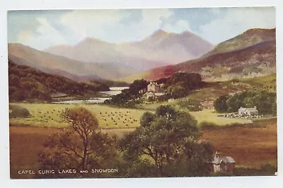 Capel Curig Lakes & Snowdon Wales Beautiful Vintage Brian Gerald Art Postcard S1 • £3.99