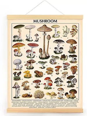 Vintage Mushroom Poster Fungus Wall Art Prints Rustic Mushroom 15.7 X 19.7 Inch • $15.80