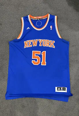 Ron Artest Metta World Peace New York Knicks Jersey Size XL Rare Vintage • $349