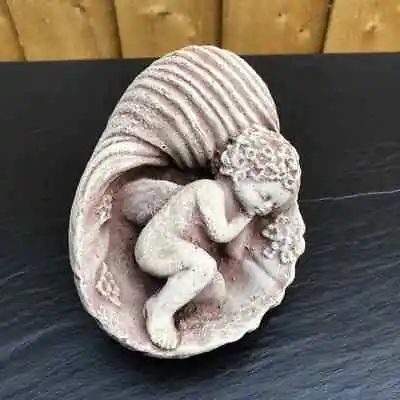 Cherub In A Sea Shell - Painted Stone Garden Ornament - Cherub116 • £14