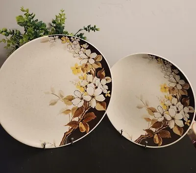 Mikasa Indian Feast PLEASANT VALLEY 10⅝  Dinner Plate12  Platter *LOOK AT PICS* • $29.97