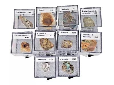 Thumbnail Mineral Lot TN97- 10 Nice Specimens - SEE OUR STORE! • $33.95