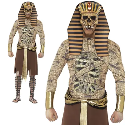 Adult Zombie Pharaoh Costume Mens Egyptian Halloween Mummy Fancy Dress ML • £50.99