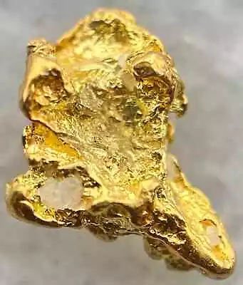 .292 Grams #6 Mesh Alaskan Natural Placer Gold Nugget Free US Shipping! #D3325 • $39.69