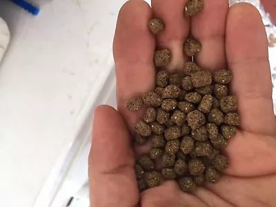 $66.78 • Buy Bulk Koi Fish Food Floating Pond Pellets For Pond Fish 32% Protein (20 Pounds)