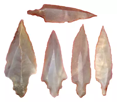 (5) Big Sahara Mesolithic Stemmed Points Prehistoric African Arrowheads • $9.99