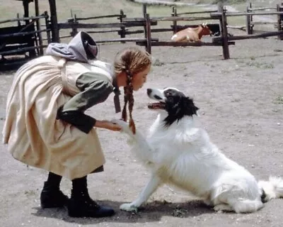 Little House On The Prairie Melissa Gilbert Shakes Dog Paw 8x10 Real Photo • $10.99