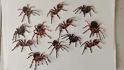 PRE-CUT Tarantula Spiders Edible Wafer Paper Cup Cake Toppers Halloween Birthday • £3.95