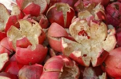$54.99 • Buy Pure Organic Pomegranate Peel From Holy Land Palestine قشر رمان نقي من فلسطين 