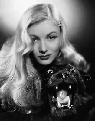 VERONICA LAKE Timeless Beauty PORTRAIT PHOTO  (179-p ) • $11.57