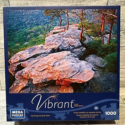 MEGA PUZZLE 1000PC Puzzle 19x27” Vibrant Buzzard’s Roost *Factory Sealed* • $11.19