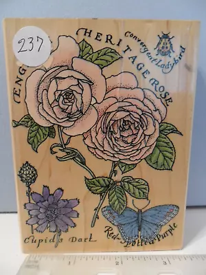 Rubber Stampede English Rose Collage A2151G Wood Mounted Rubber Stamp • $8.95