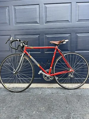 Vintage Colnago 1988 XL Red Campagnolo Groupset Colnago Crank & Headset • $1320