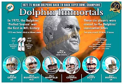 THE DOLPHINS BACK-TO-BACK SUPER BOWL CHAMPIONSHIPS 19”x13” COMMEMORATIVE POSTER • $19.95