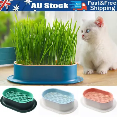 $13.49 • Buy Cat Grass Cultivation Kit Catnip Planting Box With Seeds Cat Grass Growing Pots