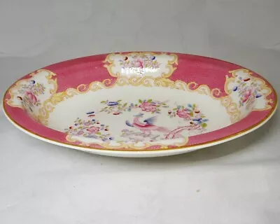 COCKATRICE PINK 9646  Minton Open Oval Vegetable Bowl 10 7/8  NEVER USED England • $229.99