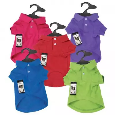 Zack & Zoey Polo Shirt • $19.99