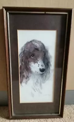 £20 • Buy Vintage Mads Stage Spaniel Brown White Spaniel Framed Picture Watercolour Print