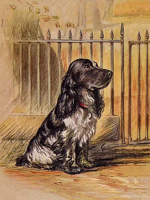 Cocker Spaniel Charming Dog Greetings Note Card Beautiful Blue Roan Sits By Gate • £2.50