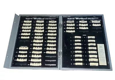 Vintage Trubyte Bioblend Bioform Upper Lower Teeth Denture Display Kit Porcelain • $119.86