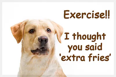 Golden Yellow Labrador Retriever Pet Dog Funny Fridge Magnet Exercise Gift • £5.95