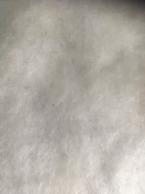 £10 • Buy Ivory Wool Blend  Mohair Coating Fabric John Louden 150cm 