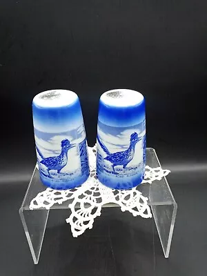 Arizona Salt And Pepper Shaker Set Road Runner Blue & White Painted Desert 3    • £14.45