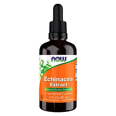 NOW FOODS Echinacea Extract Liquid - 2 Fl. Oz. • $15.84