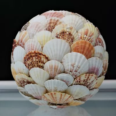 Pectin Seashell Ball Tropical Beach Coastal Display Decor Large 25.5  Diameter • $40.99