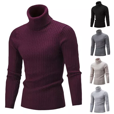 Men Turtleneck Long Sleeve Sweater Winter Basic Jumper Top Knitwear Pullovers # • $16.91