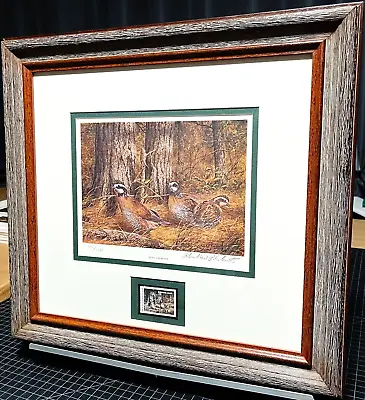 Richard Plasschaert 1983 Quail Unlimited Stamp Print W Stamp - Brand New Frame • $295