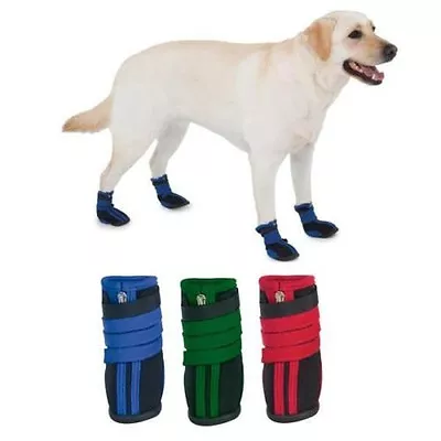 Zack & Zoey HIGH TOP NEOPRENE DOG BOOTS Red Violet Blue Or Green • $23.95