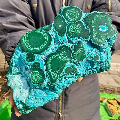 8.16LB Natural Malachite/chrysocollatransparent Cluster Rough Mineral Sample • $31