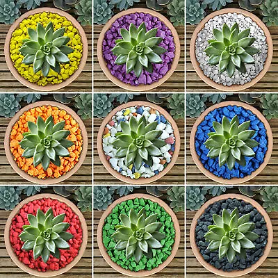 GardenersDream Coloured Plant Pot Garden Gravel - Premium Stones For Decoration • £9.99