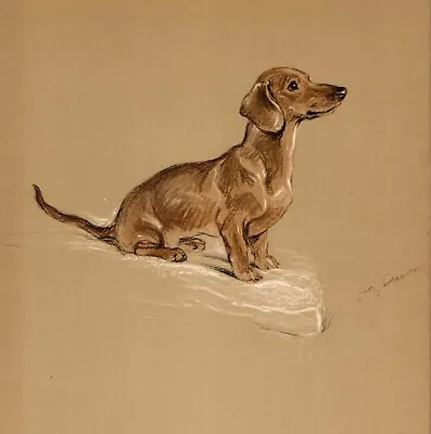 1940 Vintage Dachshund Print Wall Art Decor Lucy Dawson Illustration 5079r • $17.55