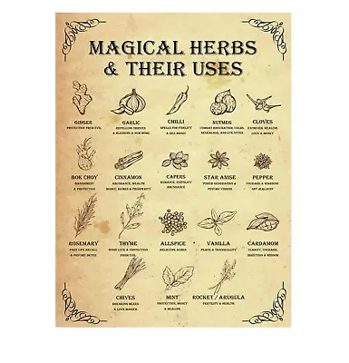 Magical Herbs & Thier Uses Printed Canvas Wall Art 21cm X 30cm Pagan Wiccan • £5.50