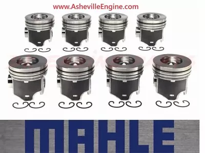 Engine Piston Set- 6.0 Powerstroke - Mahle 224-3503WR - Standard Bore - Set Of 8 • $489