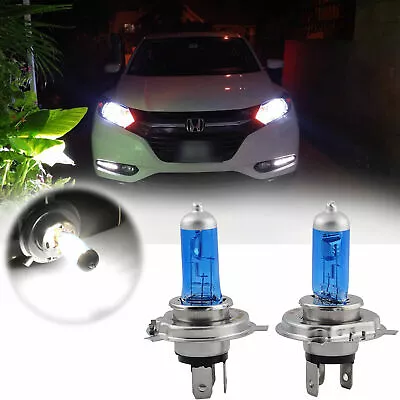 6000K White H4 9003 HB2 55W Halogen Bulbs Headlight For Honda Fit Toyota Tundra • $9.96