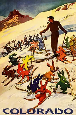 $13.95 • Buy 361895 Colorado Ski Winter Sport Aspen Vail Denver Lady Vintage Poster