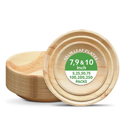 Round Palm Leaf Plates Biodegradable Disposable Wedding Catering BBQ Party Bulk • £69.99