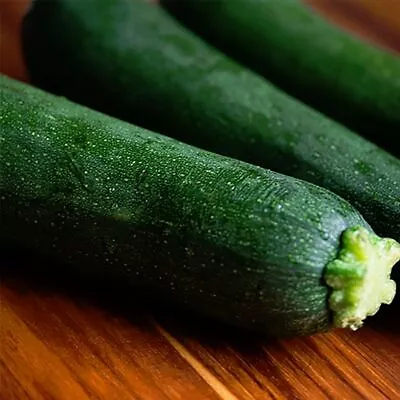 Zucchini- Black Beauty 10 Seeds | TSC: Heirloom & OP Seeds Non-GMO Untreated) • $3.24