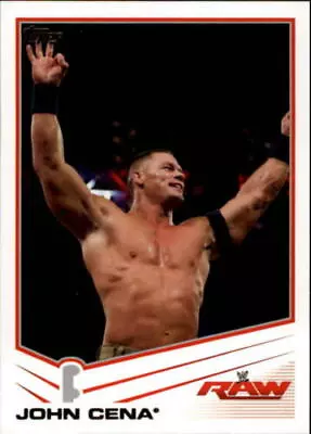 2013 Topps WWE Wrestling - Pick Your Card - Complete Your Set #1-110 • $1.49